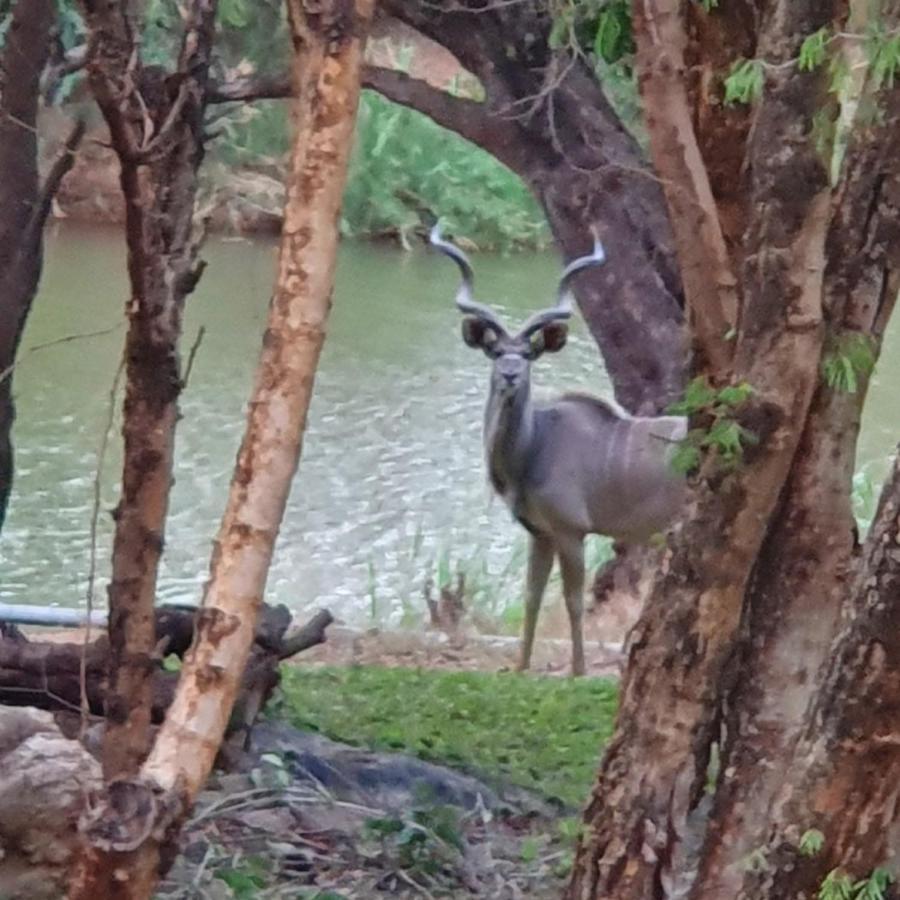 Maruleng Ekuthuleni River Front Chalets מראה חיצוני תמונה