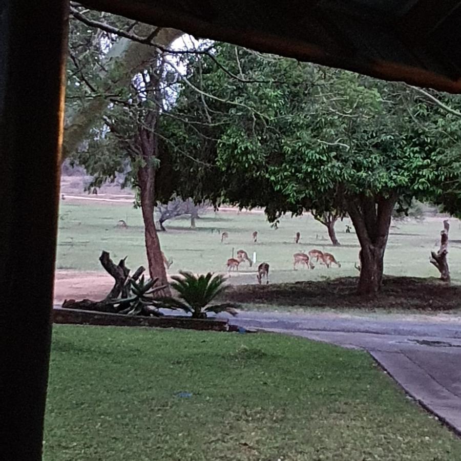 Maruleng Ekuthuleni River Front Chalets מראה חיצוני תמונה